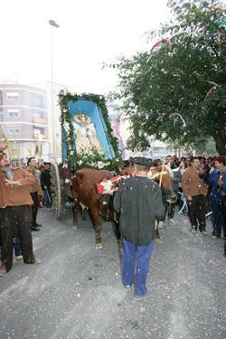 Elche / Elx. Fiestas de la Venida de la Virgen 2010