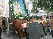 Elche Elx. Fiestas Venida Virgen 2010