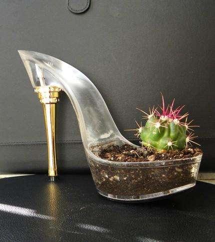 cactus-shoes