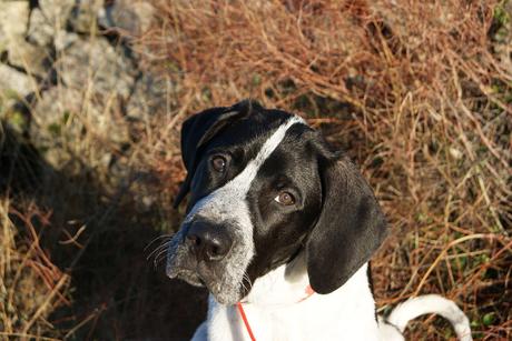 Curiosidades de la vida…