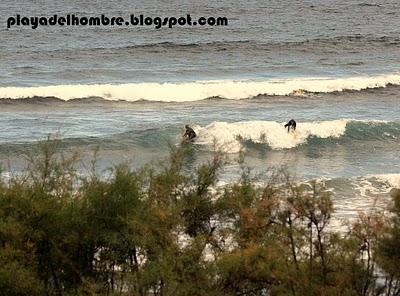 ESTIMADO  SEÑOR  DON...