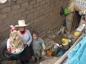 Campaña navideña institución educativa