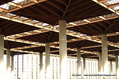 TIRALINEAS TIRALINEAS