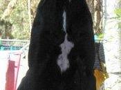 Perdida lucar (cadiz) urgente!!!