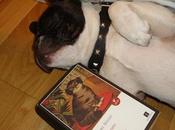 gato, Natsume Soseki