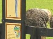 Concurso fotográfico “Fauna simpática curiosa” Tafe Publicidad (vol.2)