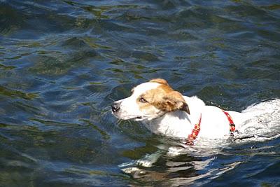Lago de Coatepeque, calma transparente