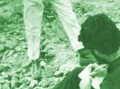 Preguntar, asimilar respuestas transmitirlas. silo 1969