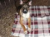 Cynthia quisieron ahogar acequia