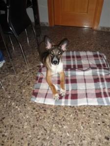 A Cynthia la quisieron ahogar en una acequia