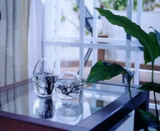 Eco Esfera, la vida hecha arte. Eco Esfera, la vida hecha arte.