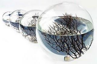 Eco Esfera, la vida hecha arte. Eco Esfera, la vida hecha arte.