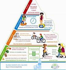 La nueva pirámide del bienestar digestivo