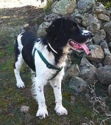 Toledo. Caído en el olvido... MARCO, AYUDA DESDESPERADA PARA ÉL... POR FAVOR.....