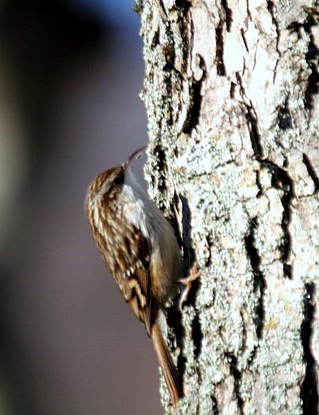 PARQUE DE LA TACONERA EL FINAL DEL AÑO
