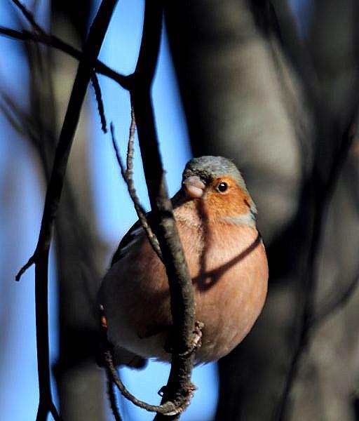 PARQUE DE LA TACONERA EL FINAL DEL AÑO
