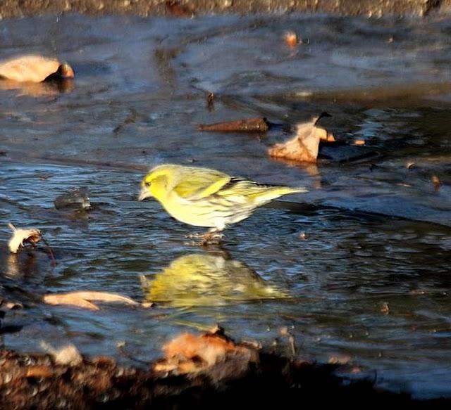 PARQUE DE LA TACONERA EL FINAL DEL AÑO