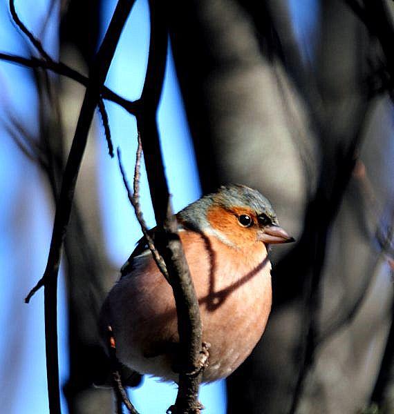PARQUE DE LA TACONERA EL FINAL DEL AÑO