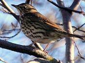 Parque taconera final