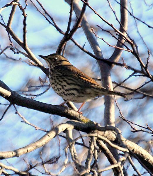 PARQUE DE LA TACONERA EL FINAL DEL AÑO