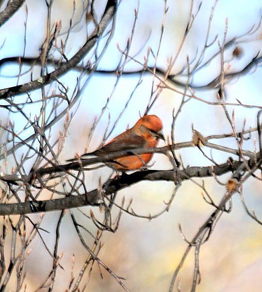 PARQUE DE LA TACONERA EL FINAL DEL AÑO