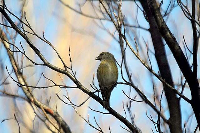 PARQUE DE LA TACONERA EL FINAL DEL AÑO
