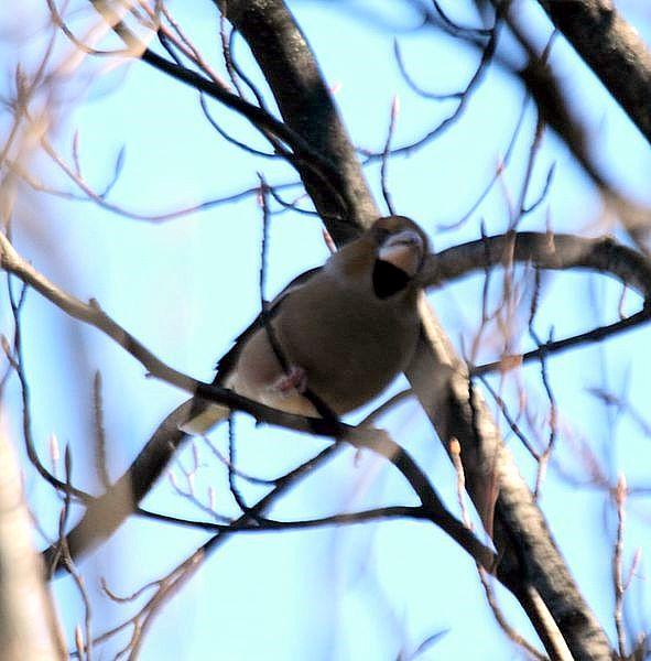 PARQUE DE LA TACONERA EL FINAL DEL AÑO