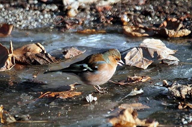 PARQUE DE LA TACONERA EL FINAL DEL AÑO