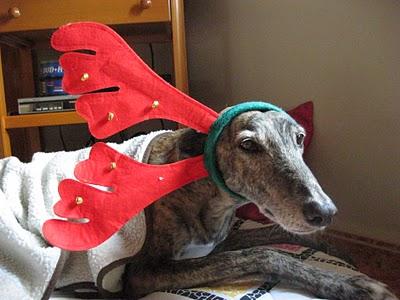 Viviendo la navidad esperando un langostino....