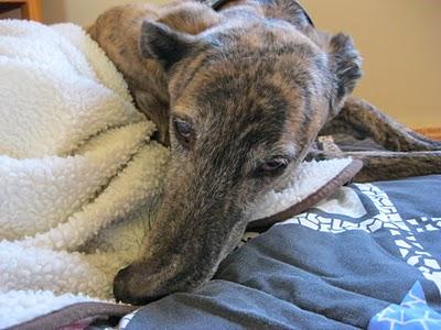 Viviendo la navidad esperando un langostino....