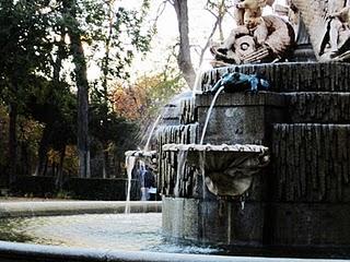 Mi último Recuerdo de 2010 en Fotos.