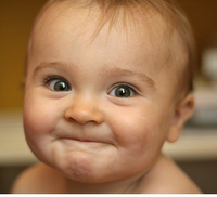 El año que está naciendo