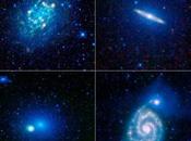 Cuatro galaxias para todos gustos