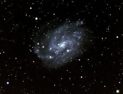 Cuatro galaxias para todos los gustos