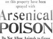 Deben tener tratamiento legal especial personas incorporan organismo implantes biónicos, esto ciborgs