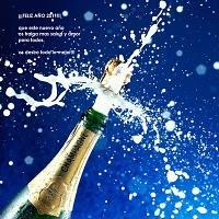 ¡¡¡FELIZ AÑO 2011!! ¡¡¡FELIZ AÑO 2011!!