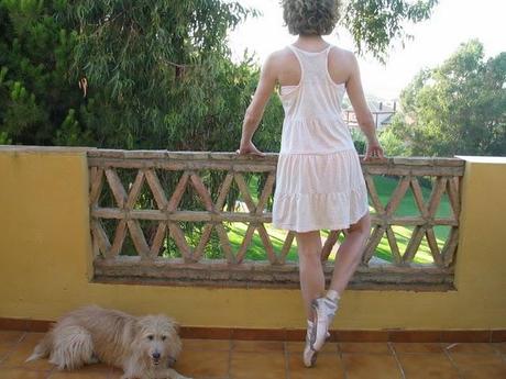 FELIZ AÑO NUEVO FELIZ AÑO NUEVO