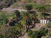 Masca Tenerife
