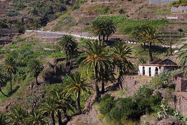 Masca Tenerife