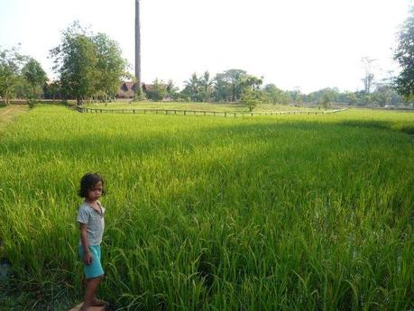 Ruta por Camboya