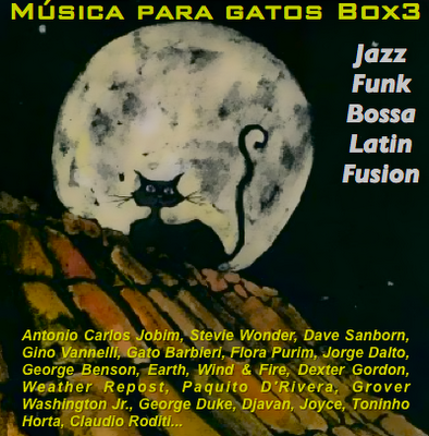 Box. Algunas indiscutibles referencias musicales.