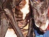 imagen abandono rendición (chiclana-Cádiz)