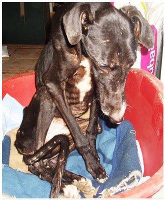 La imagen del abandono y la rendición (chiclana-Cádiz)