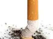 “más 50.000 muertos españa”