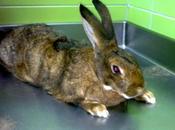 Primer susto año...