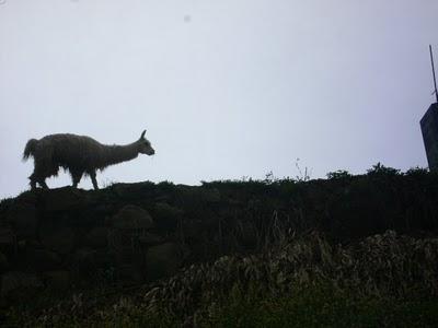 Cusco, por aquí ya estuve.