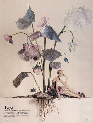 Star Signs, by Tim Gutt