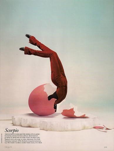 Star Signs, by Tim Gutt