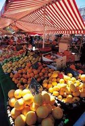 VACACIONES EN LA COSTA AZUL