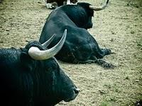 POR FIN ES 14 DE JULIO!!!